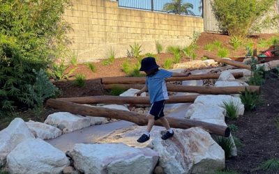 The Magic of Nature Play: Nurturing Child Development Through Outdoor Exploration